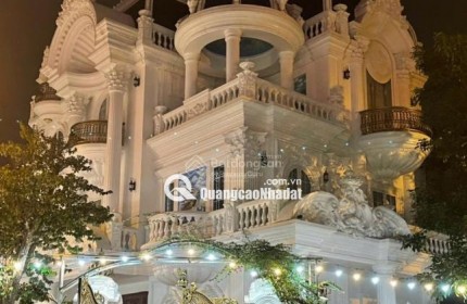 BÁN BIỆT THỰ VIP KHU D5 VƯỜN ĐÀO MẶT VƯỜN HOA DT 195M2X5T ĐẸP LONG LANH GIÁ RẺ